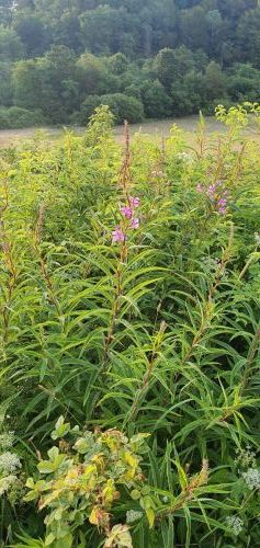 20200716 0616018367562567505059606