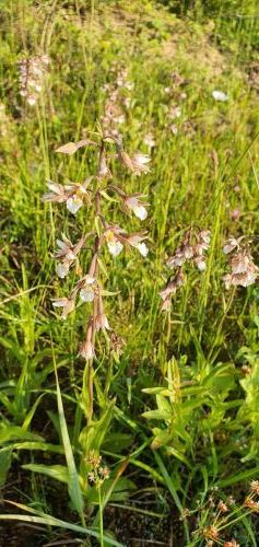 20200716 0637331645704924194772466