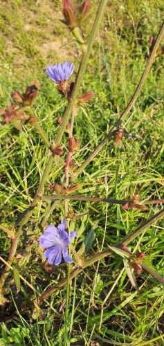 20200716 064715353797028389335363