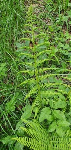 20200724 1602242964160987309025273