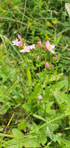 20200725 0955504164692037903612310