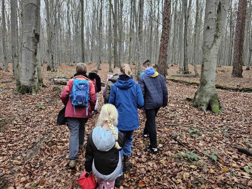 Rajd ekoturystyki Ożenna-Wysokie-Krempna 04.11.2023