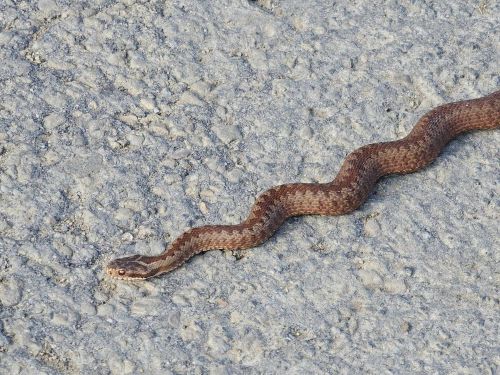 Dwudniowe warsztaty z Konradem Krasoniem 14-15.10.2023