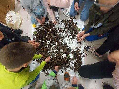 Warsztaty "Pokochać pająka"