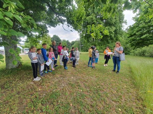 Tworzenie zielników i świat mikroskopów