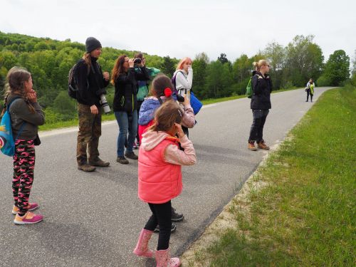 Warsztaty "Motyle - ozdoba naszych łąk" oraz "Ekologia ptaków leśnych"