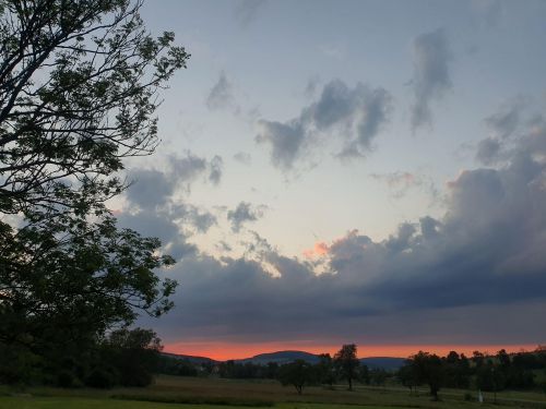 Warsztaty entomologiczne 2021