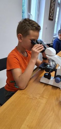 Warsztaty laboratoryjne