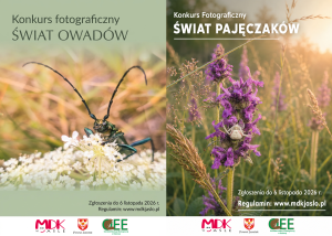 świat owadów 2026 plakaty